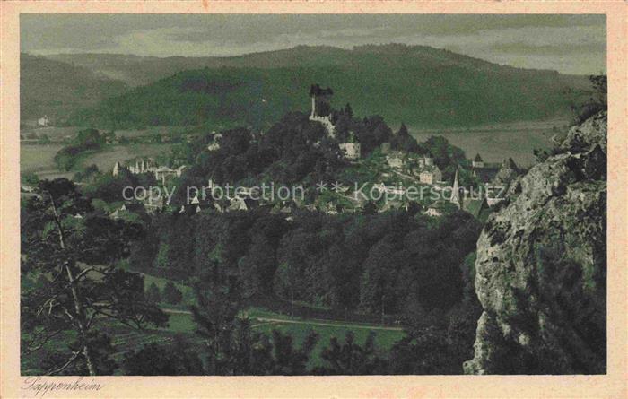 Pappenheim Mittelfranken Burg Panorama Felsen Altstadt Huegel Wald Kirchturm Tal