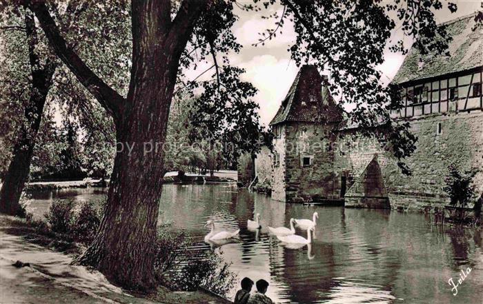 Weissenburg  Bayern Stadtmauer Seeweiher Schwaene Turm Wasser Baeume Fachwerk