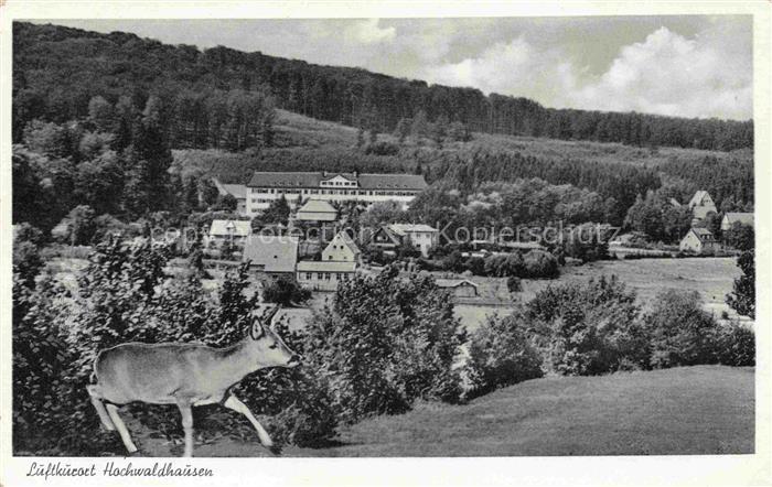 Hochwaldhausen Grebenhain Vogelsbergkreis Hessen Luftkurort Panorama Sanatorium