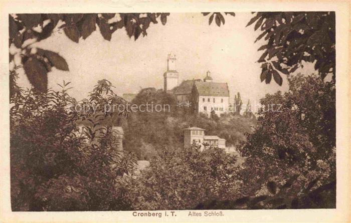 Kronberg  Cronberg Taunus Altes-Schloss Burg Turm Baeume Taunus
