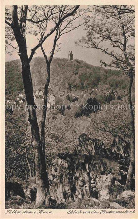 Falkenstein Taunus Hessen Hartmannsbank Turm Wald Felsen Taunus Baeume Ortschaft