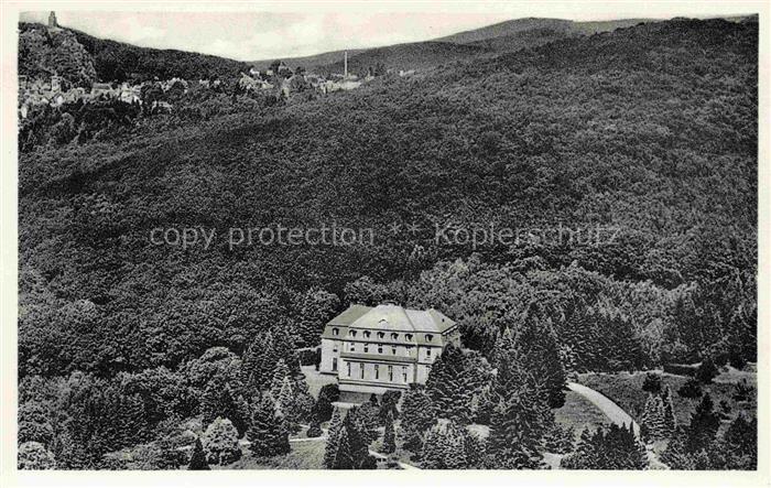 Kronberg  Cronberg Taunus Haus-Waldfriede Kur-Genesungsheim Wald Berge Vogelpers
