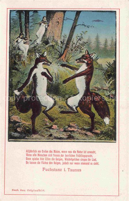 Fuchstanz Taunus Schmitten Hessen Fuechse tanzend Wald Elfen Maerchen Illustrati