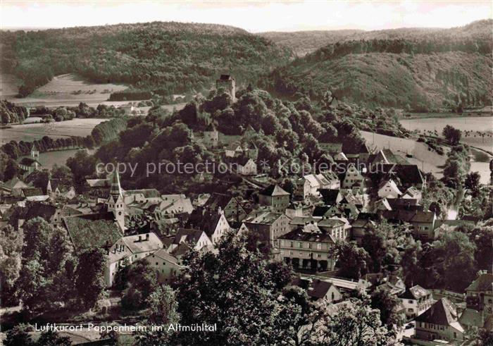 Pappenheim Mittelfranken Altstadt Burg Altmuehltal Kirche Daecher Felder Fluss