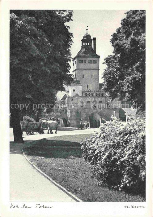 Weissenburg Bayern Ellinger-Tor Stadttor Turm Pferdekutsche Park Baeume