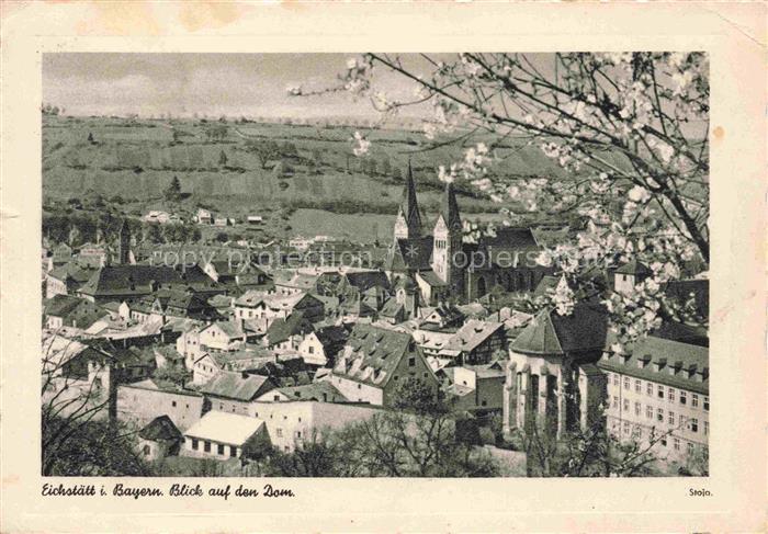 Eichstaett Oberbayern Dom Kathedrale Altstadt Daecher Kirche Fruehling Bluete