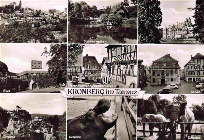 Kronberg Cronberg Taunus Schillerweiher Schlosshotel Burg Fachwerkhaeuser Schir
