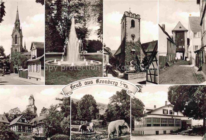 Kronberg Cronberg Taunus Kronberger-Hof Kirche Brunnen Turm Gasse Elefant Tierp