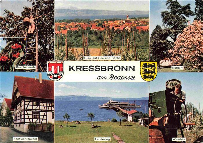 Kressbronn Bodensee BW Bodensee Kirschenernte Blick-auf-See-und-Saentis Kurpark