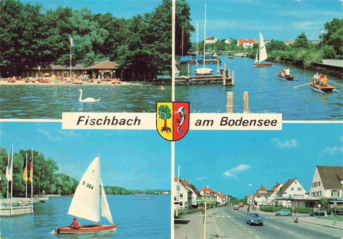Fischbach Friedrichshafen Bodensee BW Bodensee Badestrand Schwan Segelboote Hafe