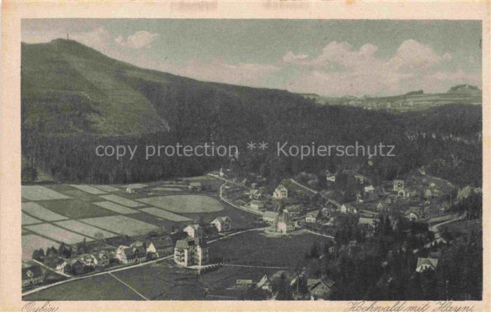 Oybin Sachsen Hochwald Berg Panorama Dorf Felder Haeuser Wald Talblick