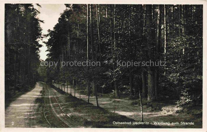 ueckeritz Ueckeritz Usedom Mecklenburg-Vorpommern Waldweg Wald Kiefern Weg Stran