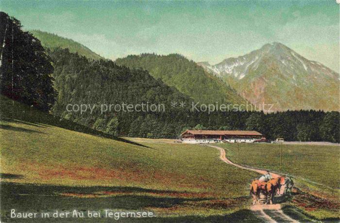 Tegernsee Bayern Alpenlandschaft Bauernhof Ochsen Berge Wald Wiese Kutsche