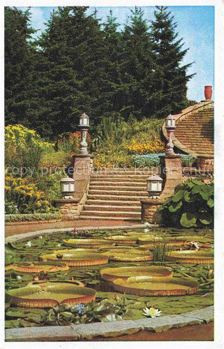 EssEN  Ruhr Grugapark Warmwasserbecken Seerosenteich Treppe Laternen Blumen Baeu