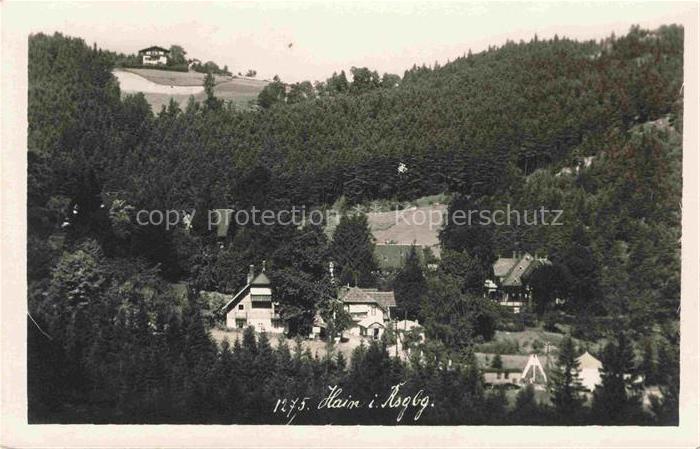 Hain Giersdorf Riesengebirge Podgorzy PL Ortschaft Wald Nadelbaeume Villen Haeu