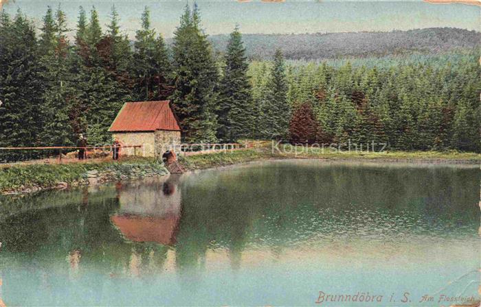Brunndoebra Klingenthal Vogtlandkreis Sachsen Flossleich Teich Wald Nadelwald Ha