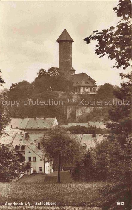 Auerbach Vogtland Sachsen Schlossberg Schlossturm Burg Altstadt Daecher Baeume V