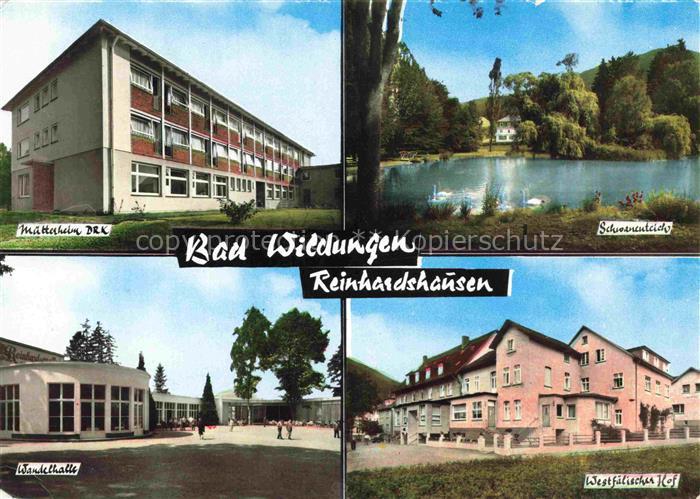 Reinhardshausen Bad Wildungen Hessen Muetterheim-DRK Schwanenteich Schwaene Wand