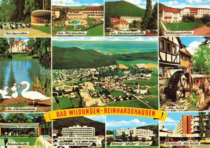 Reinhardshausen Bad Wildungen Hessen Schwanenteich Schwaene San-Hartenstein Wald