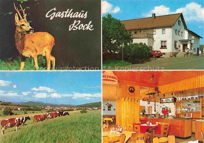 Hundsdorf Waldeck Gasthaus-Bock Gaststube Theke Reh Kuehe Weide Gebaeude Gastron