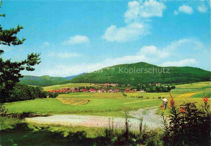 Reinhardshausen Bad Wildungen Hessen Dorfansicht Huegellandschaft Wiesen Felder
