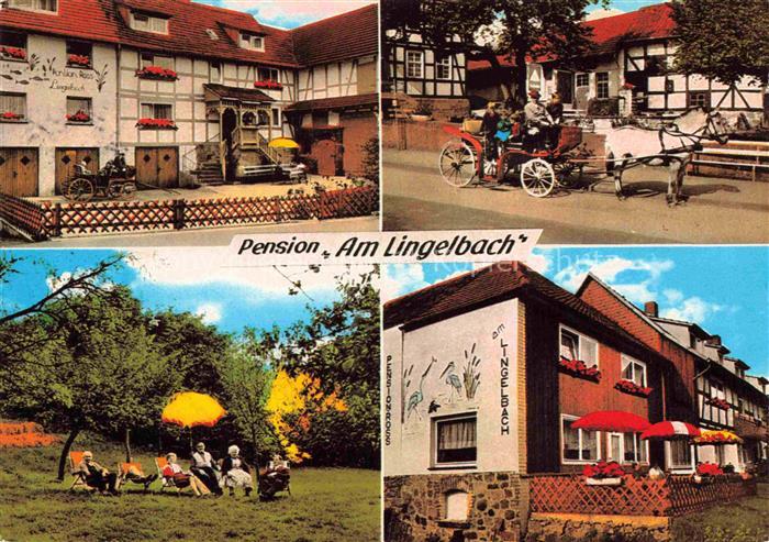 Rengshausen Beisetal Knuellwald Hessen Pension-Am-Lingelbach Pferdekutsche Fachw