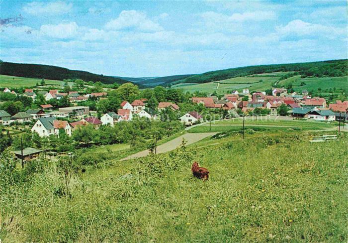 Knuellwald Dorfansicht Wiese Kuh Wohnhaeuser Huegel Wald Erholungsort
