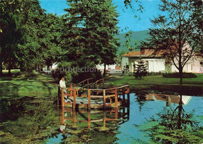 Bad Zwesten Hessen Hardtwaldklinik Kurpark Teich Bruecke Park Baeume Frau