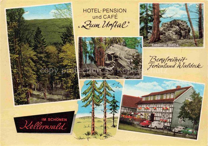Bergfreiheit Bad Wildungen Hessen Hotel-Pension-Zum-Urftal Kellerwald Exhelmer-S