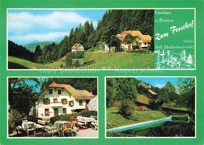 Haeg-Ehrsberg Baden Gasthaus-Zum-Forsthof Pension Hochschwarzwald Wald Garten Sc