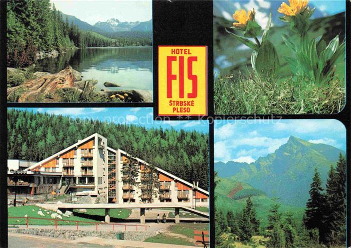Strbske Pleso Tschirmer See Vysoke Tatry SK Hotel-FIS See Wald Berge Blumen Kriv