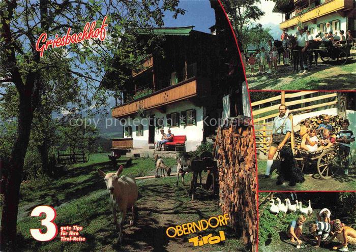Oberndorf Tirol AT Griesbachhof Bauernhof Ziegen Kutsche Gaense Hofhund Kitzbueh