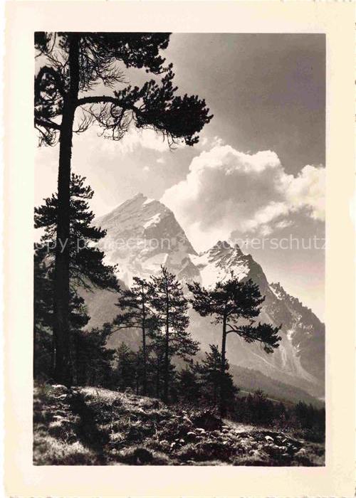 Cortina d Ampezzo Veneto IT Monte-Antelao Dolomiten Bergpanorama Kiefern Schnee