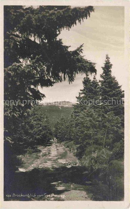 BROCKEN Harz Sachsen-Anhalt Brocken Goetheweg Wald Nadelwald Weg Harz Fichten Gi
