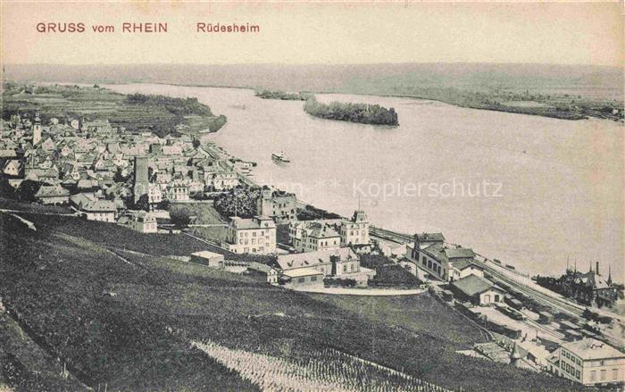 RueDESHEIM am Rhein Hessen Rhein Weinberge Stadtansicht Dampfer Rebhaenge Panora