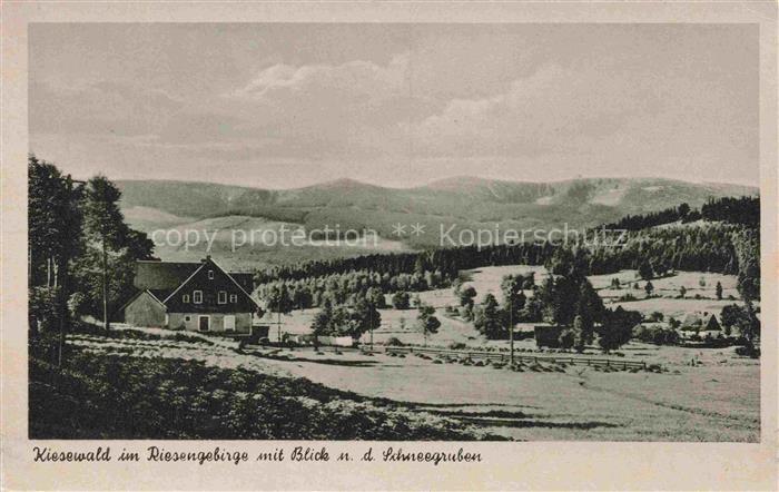 Kiesewald Riesengebirge Petersdorf Michalowice JELENIA GORA Hirschberg PL Riesen