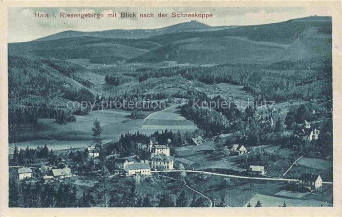 Podgorzyn Hain Poland Riesengebirge Schneekoppe Panorama Wald Dorf Berge Tal