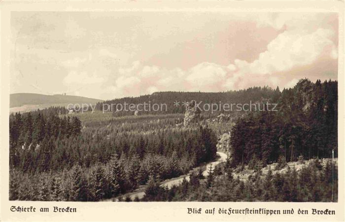 Schierke Harz Feuersteinklippen Brocken Harz Wald Felsen Weg Panorama