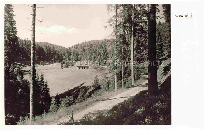 Zwieselberg Freudenstadt BW Kinzigtal Schwarzwald Nadelwald Gasthaus-Auerhahn Fr