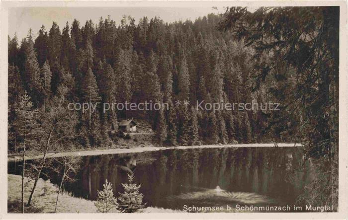Schurmsee Schoenmuenzach Baiersbronn BW Schurmsee Murgtal Schwarzwald Nadelwald