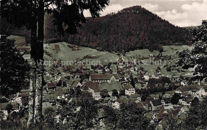 Alpirsbach Freudenstadt BW Kloster Kurstadt Schwarzwald Ortschaft Berge Wald Tal