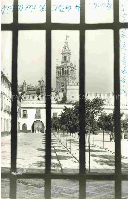 SEVILLA Andalucia ES Patio-de-Banderas Giralda Kathedrale Turm Platz Baeume Gitt