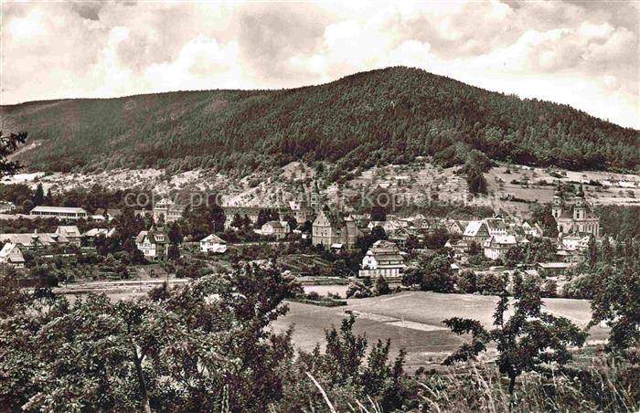 AMORBACH Bayern Amorbach Odenwald Kirchturm Kloster Ortschaft Berge Wald Felder