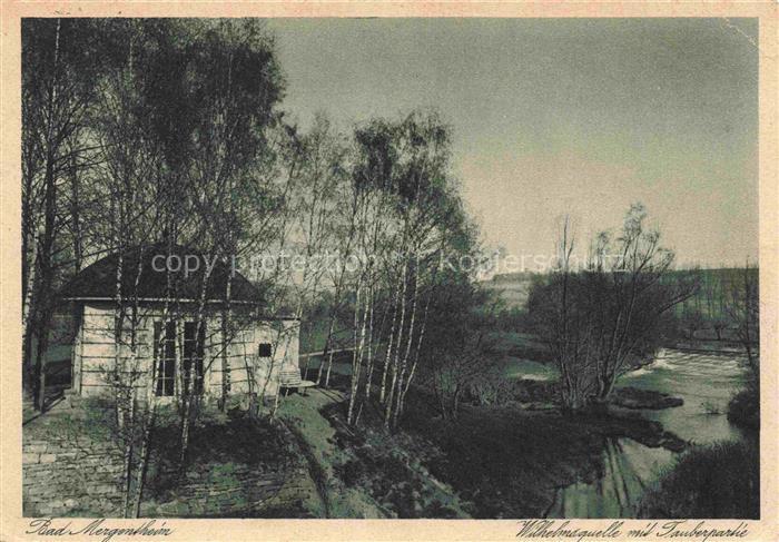 BAD MERGENTHEIM BW Wilhelmsquelle Tauberpartie Tauber Fluss Birken Haeuschen S/W