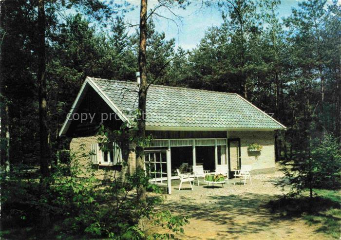Luyksgestel Luycksgestel Noord-Brabant NL AMRO Bungalowpark Bungalow Wald Terras