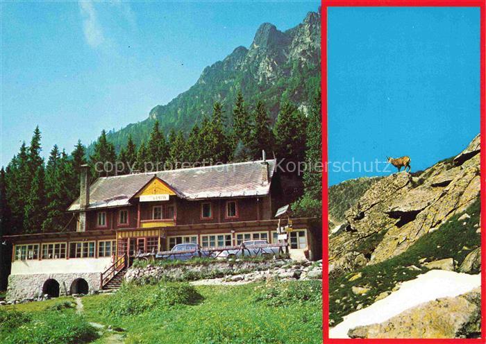 Hrebienok Vysoke Tatry Tatralomnitz Poprad SK Chata-Kamzík Gaemse Hrebienok Kohl