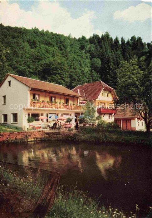 Oberharmersbach Ortenaukreis BW Schwarzwald-Idyll Loecherberg Teich Terrasse Gas