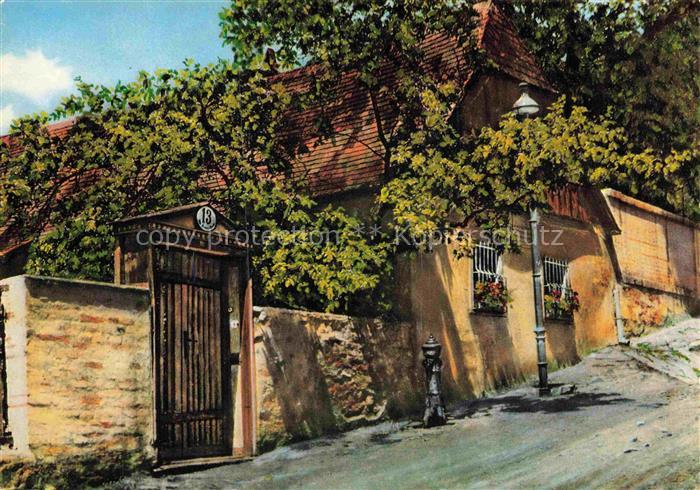 Salmannsdorf WIEN AT Johann-Strauss-Haeuserl Gartentor Weinreben Gasse Mauerwerk