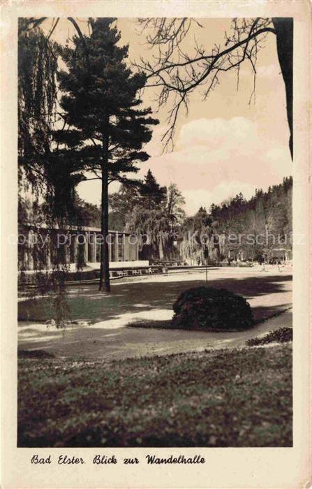 BAD ELSTER Vogtland Sachsen Wandelhalle Park Kurpark Baeume Saeulenhalle Wiese