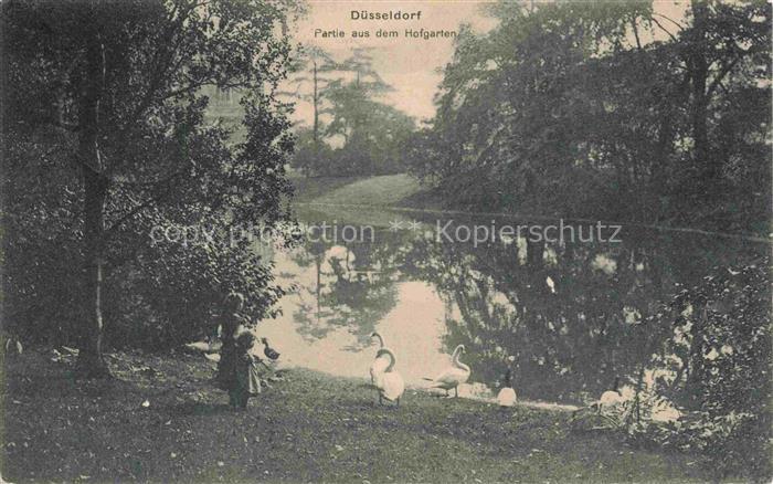 DuessELDORF CITY Hofgarten Teich Schwaene Park Kind Baeume Spiegelung